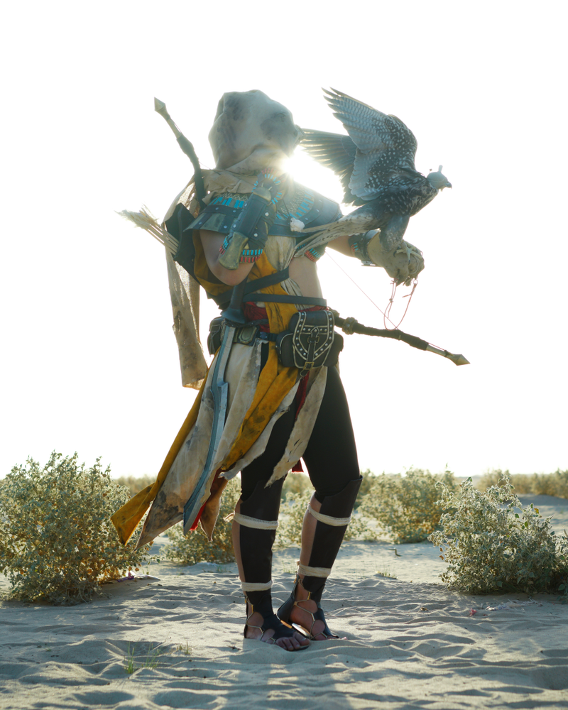 Illustration for article titled It Is Bayek, Of Siwa